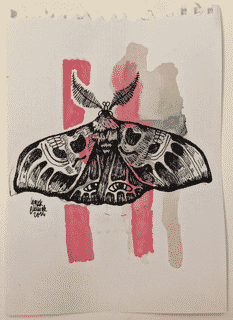 moth-8-2014-poor-quality-photo